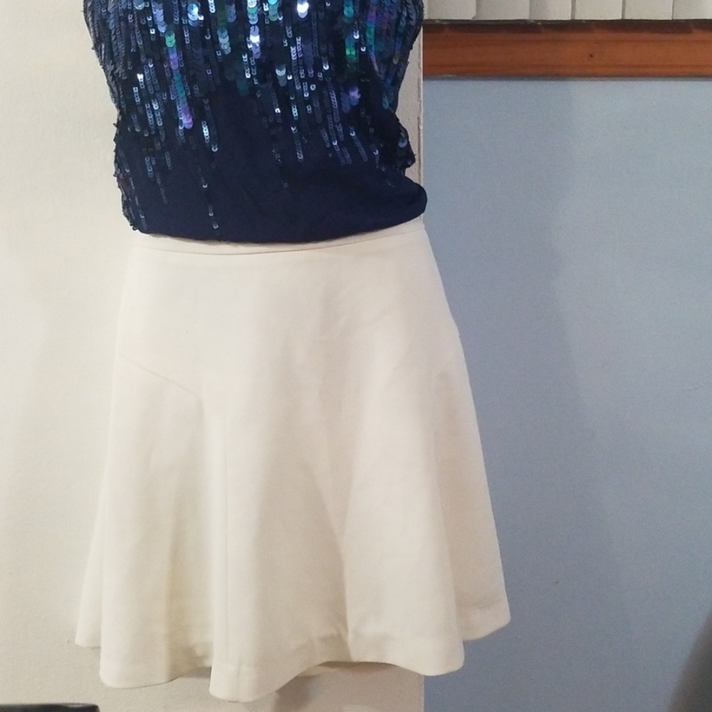 Express Skirt